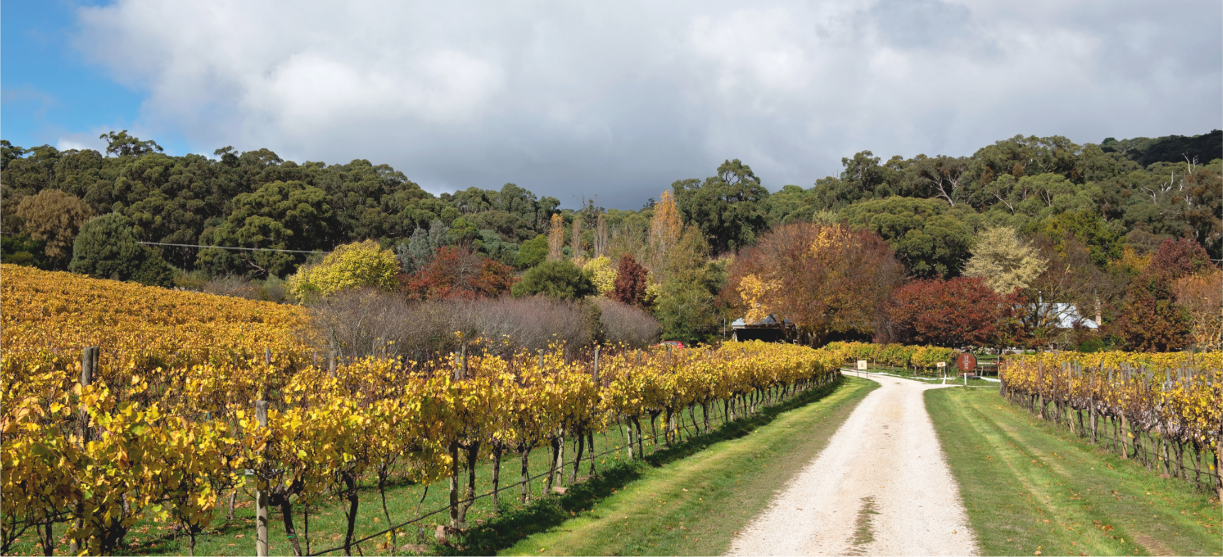 Macedon Ranges Wine Region